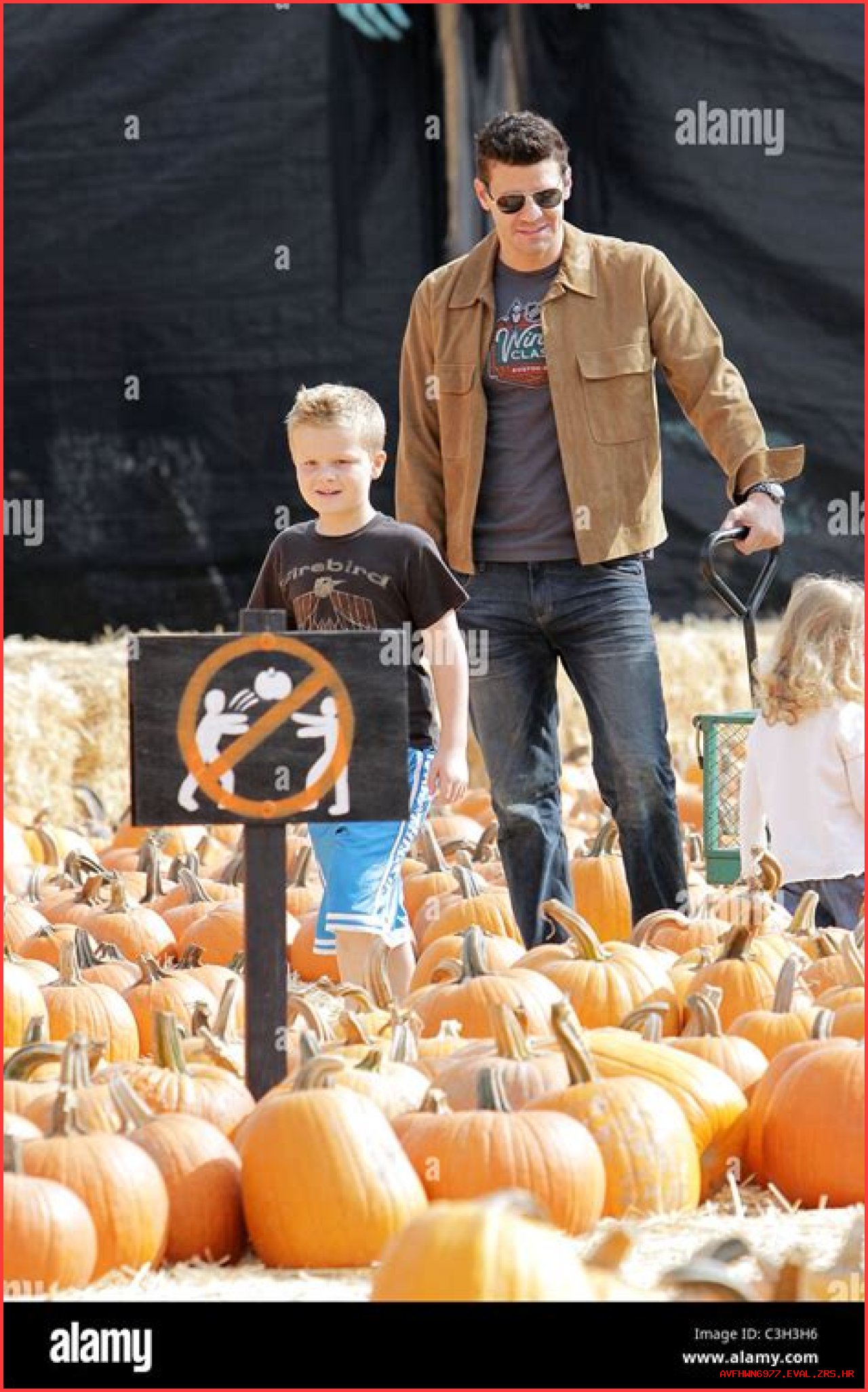 Exploring The Life And Career Of Jaden Boreanaz: A Rising Star
