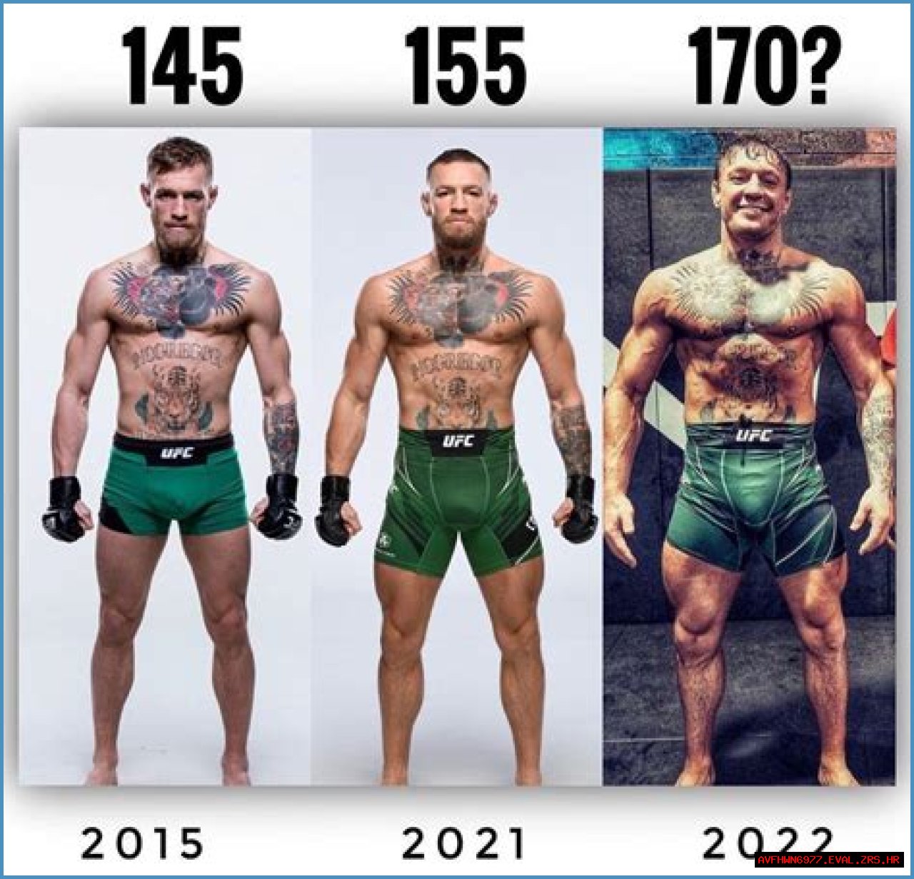 Exploring The McGregor Weight Category: A Champion's Journey