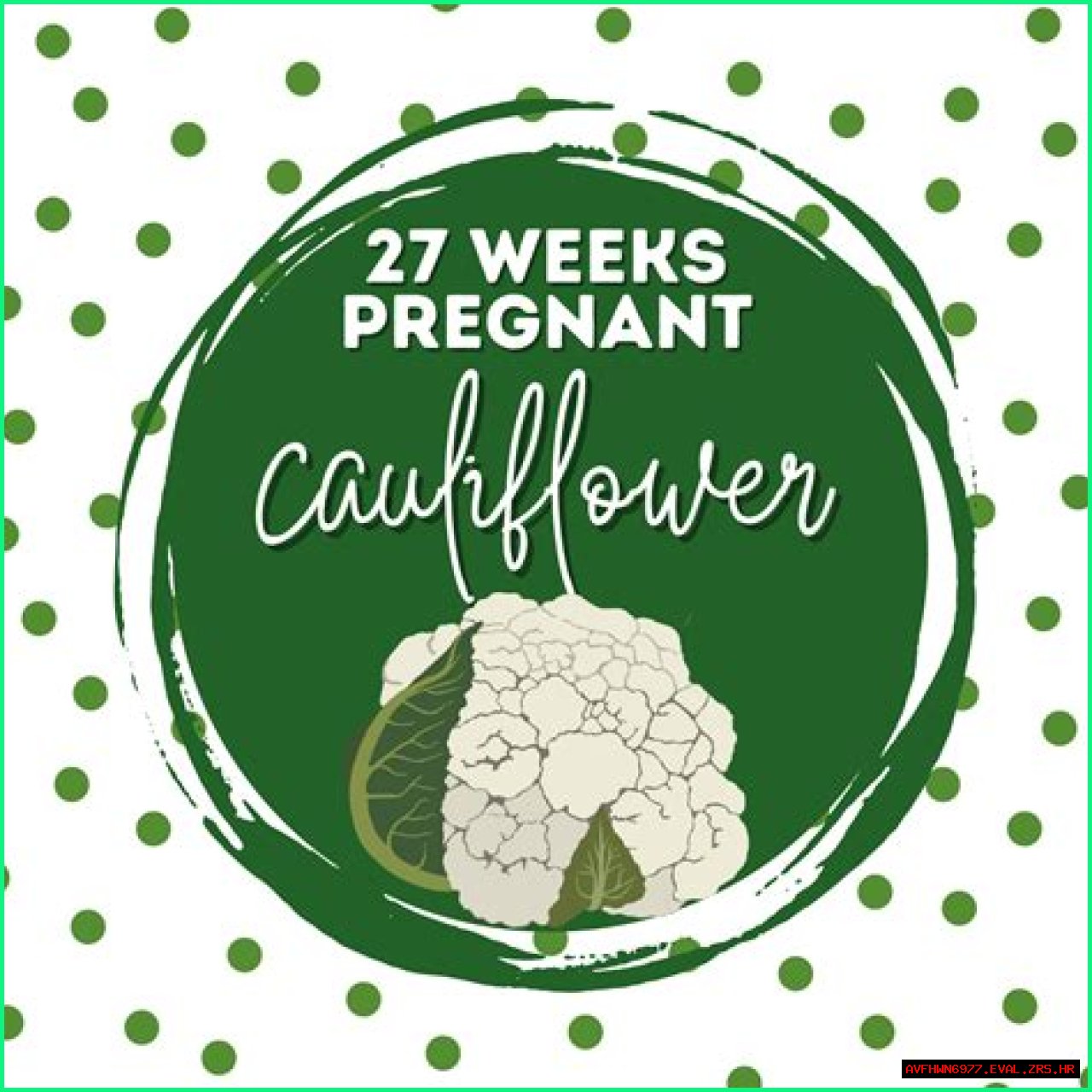 Understanding Chadwick Pregnancy: Unveiling The Mysteries Of Early Pregnancy Signs